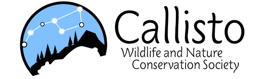 Kalllisto organization